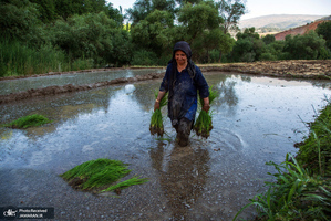 منتخب تصاویر امروز جهان- 7 مرداد