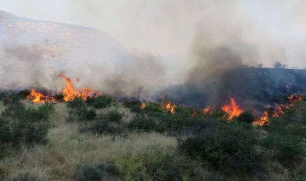 آتش سوزی پارک ملی گلستان عمدتا در عرصه های مرتعی است