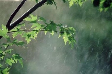 بارش باران تا روزچهارشنبه دراستان ادامه می یابد کاهش 7درجه ای دمای هوا