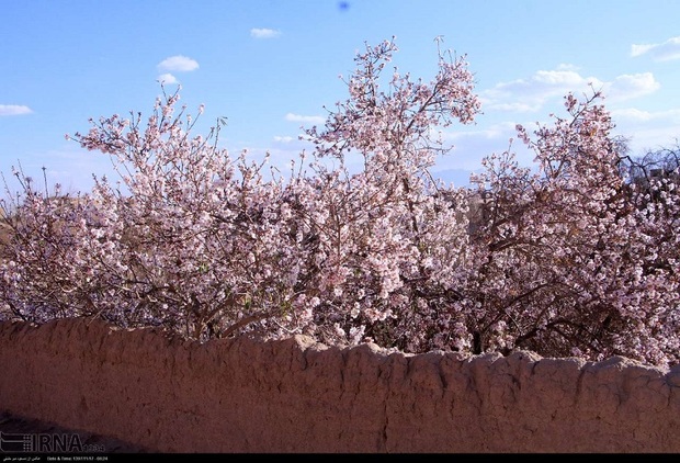 زمستان از چله گذشت اما به یزد نرسید