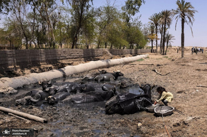 منتخب تصاویر امروز جهان- 29 تیر 1400