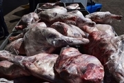 کشف 80 کیلوگرم گوشت فاسد از رستورانی در رشت