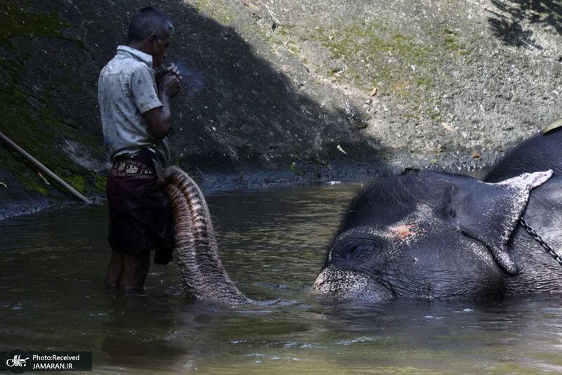 منتخب تصاویر امروز جهان - 25 بهمن 1403