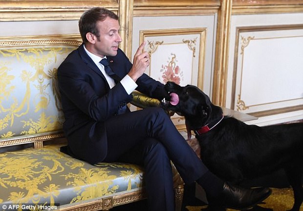 وقتی رئیس جمهور فرانسه در تلویزیون ملی سوژه شد+ تصاویر