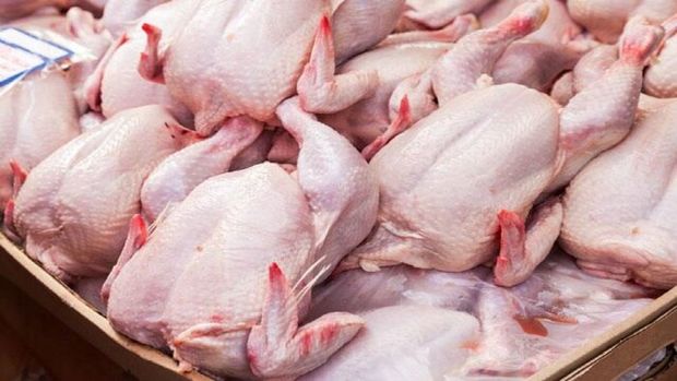 ۳۶۰۰ تن گوشت مرغ تحویل سردخانه‌های خراسان رضوی شد