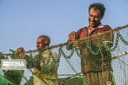 آرایش صیادان مازندران برای ماهیگیری در خزر از بیستم مهر ماه