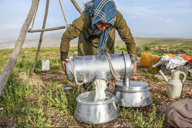 تلاش عشایر خراسان رضوی نماد تحقق اقتصاد مقاومتی