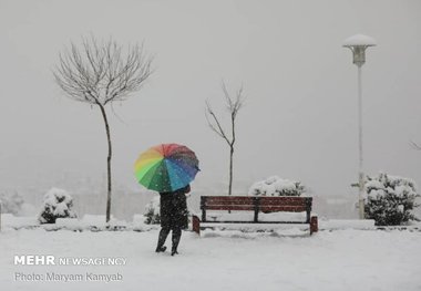 بارش برف و باران در کرمانشاه  هشدار وقوع یخبندان