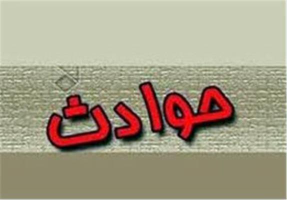 دختر 7 ساله با کمک موبایل دزدان را لو داد !