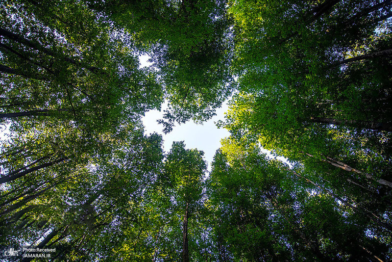 منتخب تصاویر امروز جهان- 20 مرداد