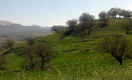 باشت با بهارش به پیشباز گردشگران آمد