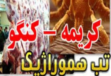 سه مبتلا به تب کریمه در استان فارس  یک نفر فوت کرد 2 نفر مرخص شدند