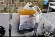 پلاسمای مورد نیاز بیماران کرونا در قزوین جمع‌آوری می‌شود